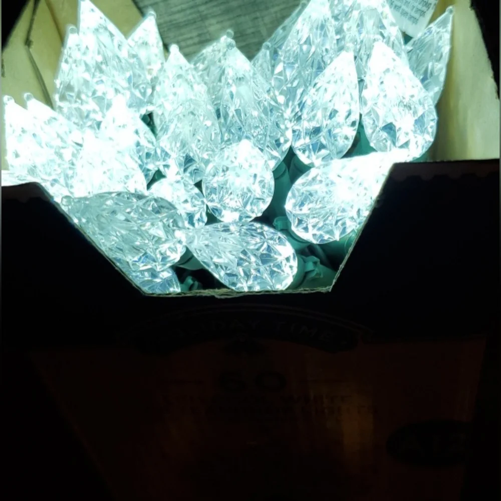 Holiday Lights Indoor & Outdoor LED Cool White